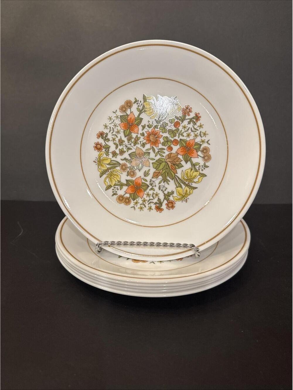 Set Of 6 Vintage Corelle INDIAN SUMMER 8.5" Luncheon Salad Plates